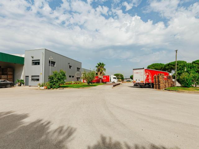 Armazém industrial equipado em Pegões, Montijo