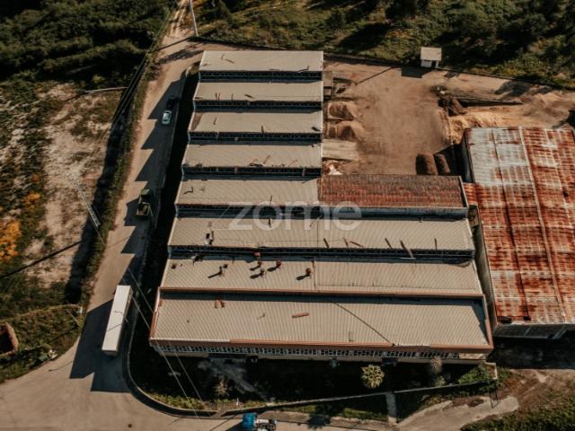 Armazém Industrial Penacova