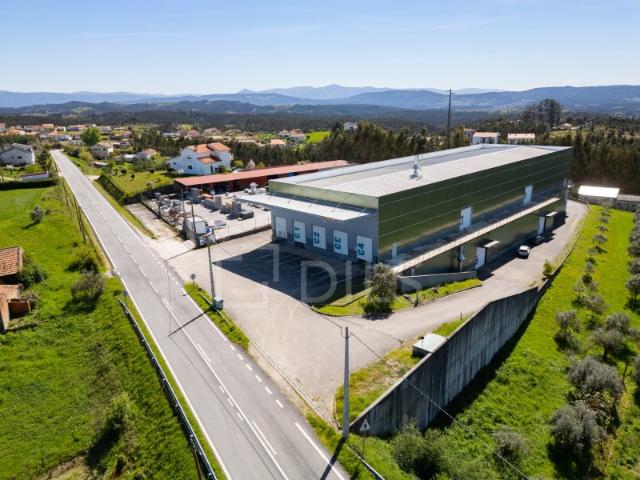 Armazém para arrendar no FactoryHub em Covais, Penacova