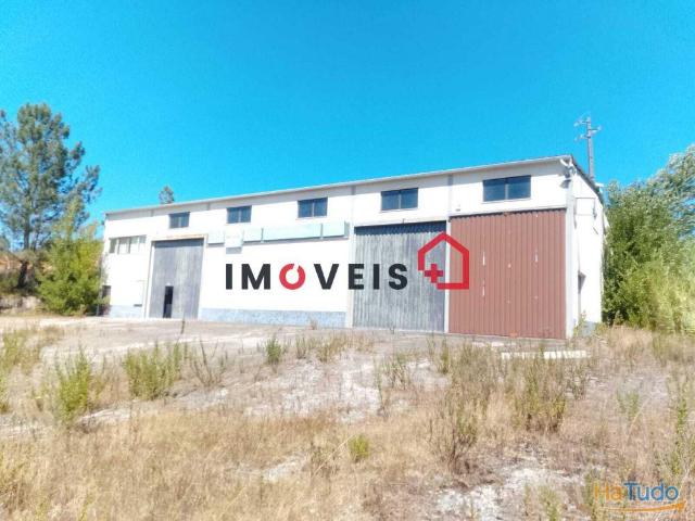 Armazém para Venda | 26074017020