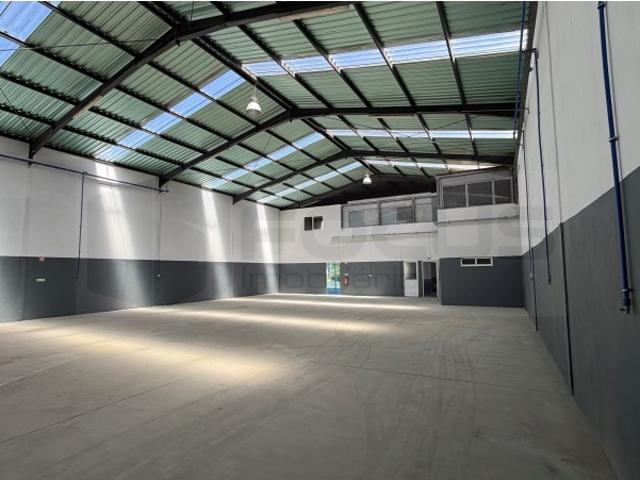Armazém / Pavilhão para arrendamento Albergaria a Velha