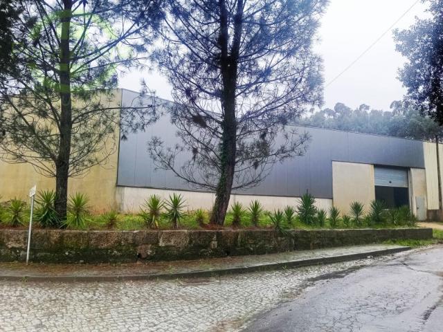 Armazém Reguenga Santo Tirso