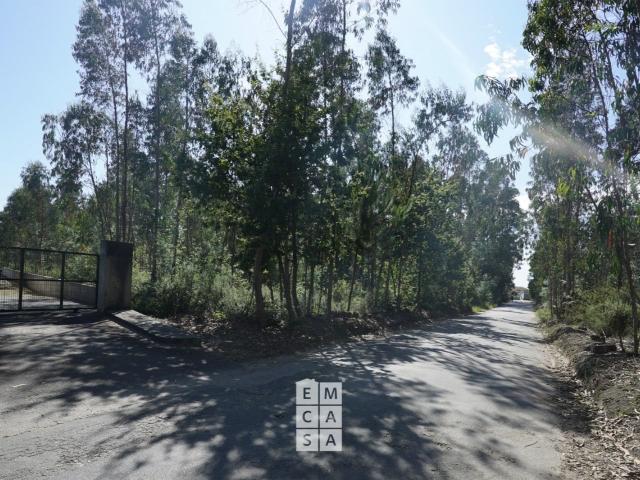 Armazém Venda em Oliveira de Azeméis, Santiago de Riba Ul, U. 942m² Oliveira de Azeméis, Santiago da Riba Ul, Ul, Macinhata da S