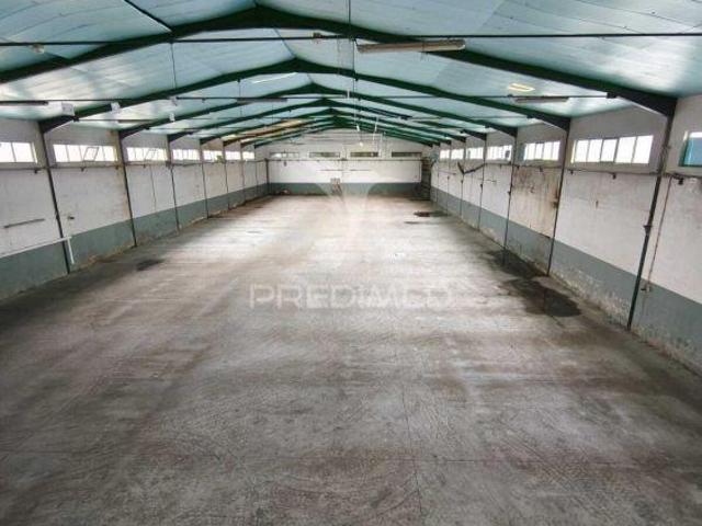 Armazém Zona Industrial de Oiã | 26064069214