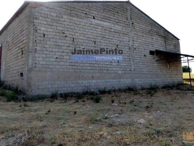 Armazém 501 m2 Felgar. Portugal, Bragança, Torre de Moncorvo. | 26063101140
