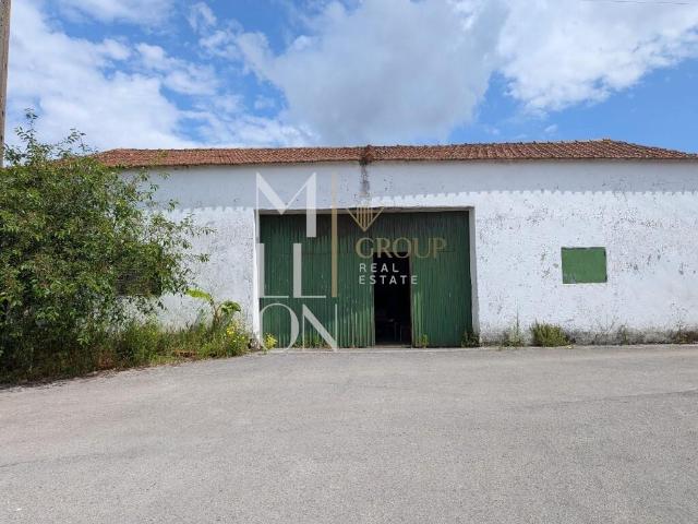 Armazém/adega tradicional com cerca de 143 m² Caldas da Rainha