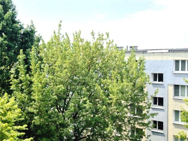 Armii Krajowej 47,20 m², Poznań