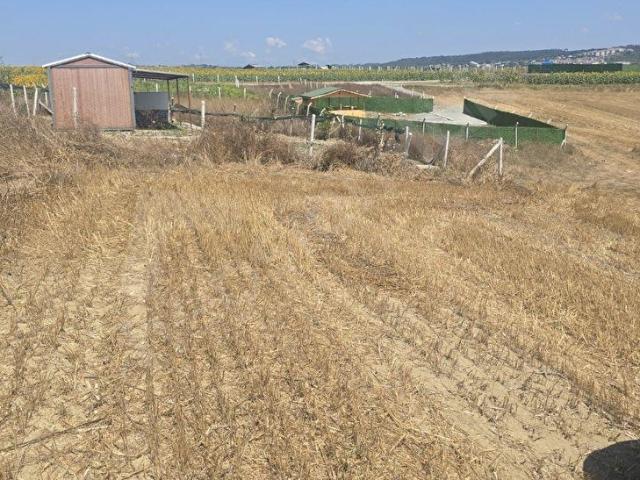 Arnavutköy Haraççı' da Yenişehir Planında İçinde 2x165m Hobi veya Yatırımlık