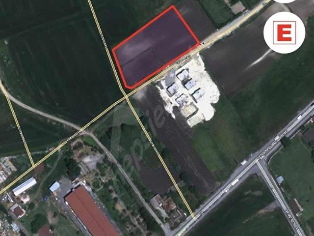 Arnavutköy haraççı Pegasus