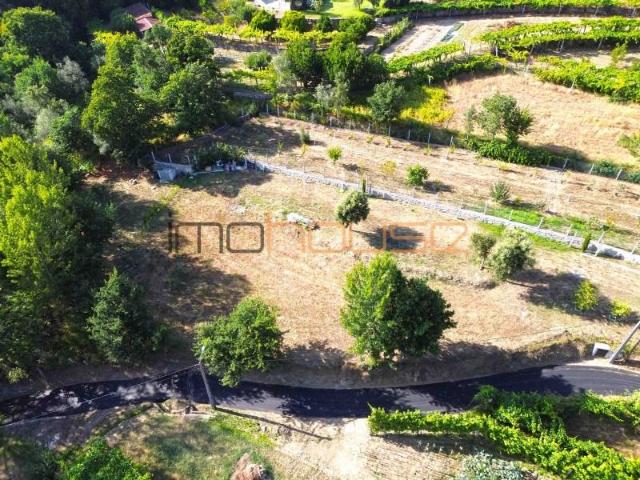Arouca Arouca 104373122