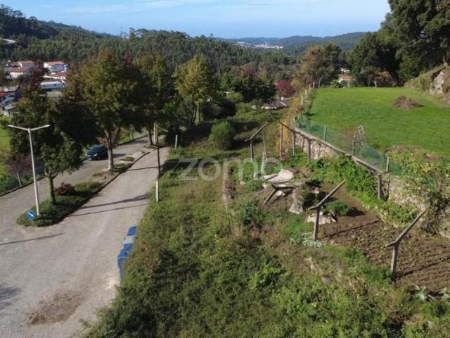Arouca Arouca 96174311