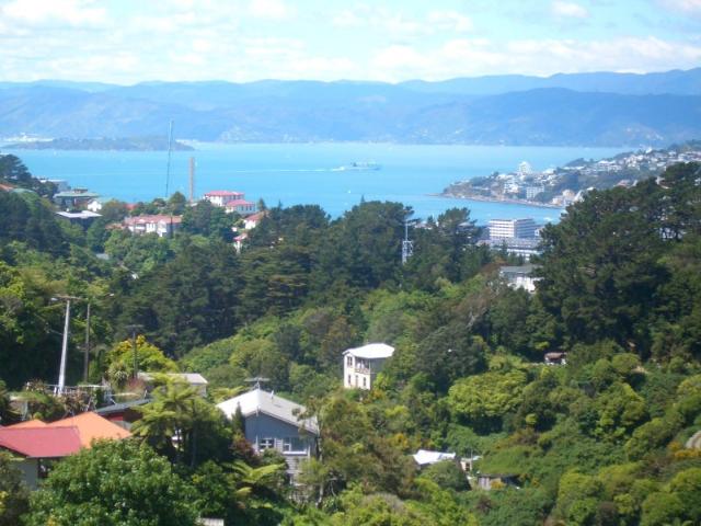 aro valley, 1 bedroom