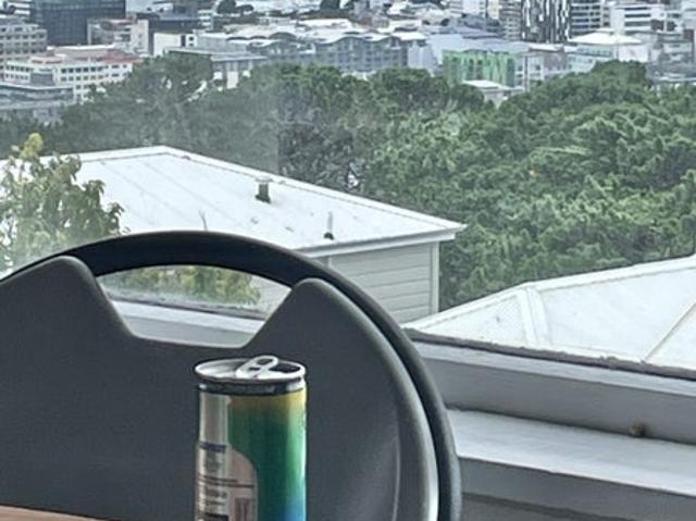 Aro Valley, 5 bedrooms