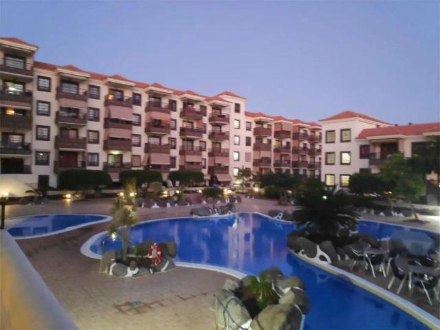Arona