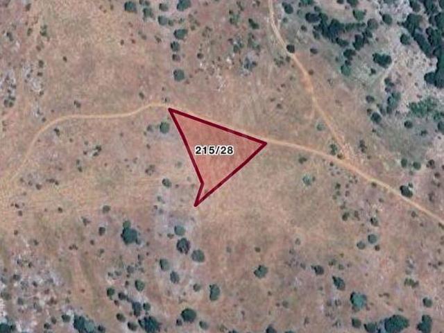 ARAÇ TAKAS FİAT EGEA YADA BENZİNLİ YOLU OLAN SINIRI NET YATIRIMLIK TARLA KAÇIRILMAYACAK FIRSAT