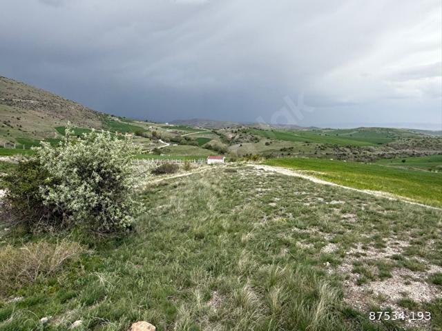 ARAÇ TAKASI İLE TOHUMLARDA BAHÇELIK TARLA1234456