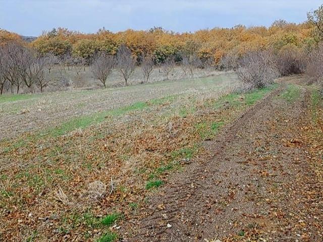 Aradığın Ev 'den Çanakkale Biga da Acil Fırsat Tarla