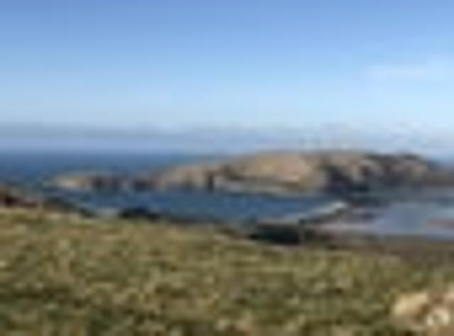 Aramoana, 4 bedrooms, $600 pw