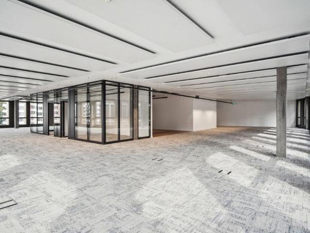 Arbeiten, wo Zürich auf Natur trifft Ausgebaute Büroflächen in Zürich Süd