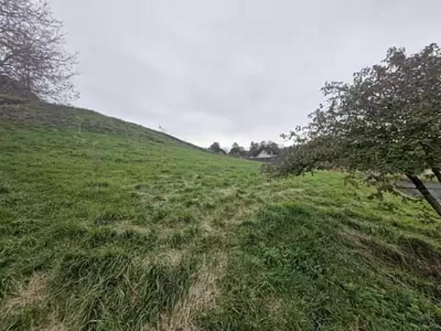 Arbois 39600 Achat / Vente terrain