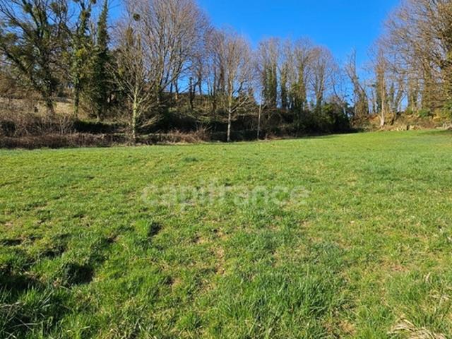Arbois Vente Terrain 39