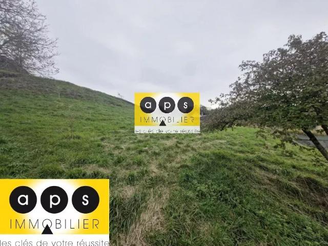 Arbois Vente Terrain 39
