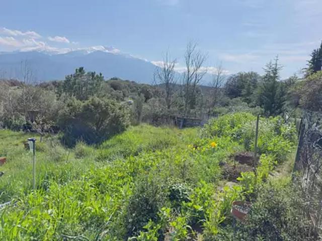 Arboussols 66320 Achat / Vente terrain
