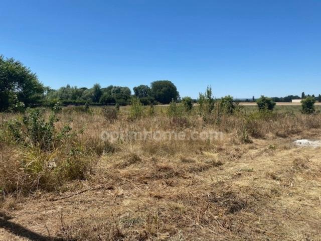 Arc sur Tille Vente Terrain 21
