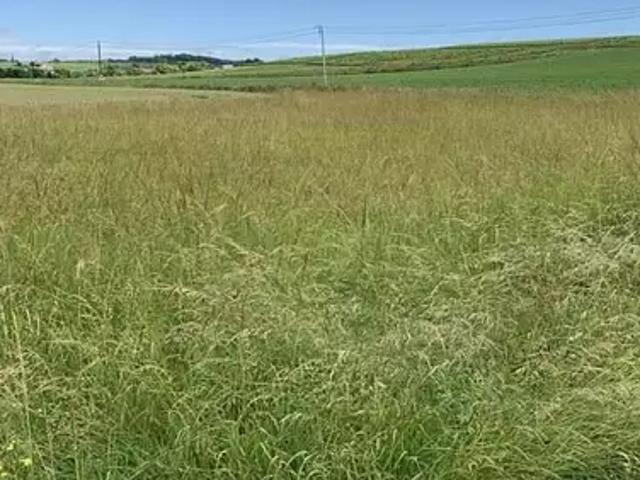 Arc sur Tille 21560 Programme neuf terrain neuf à vendre