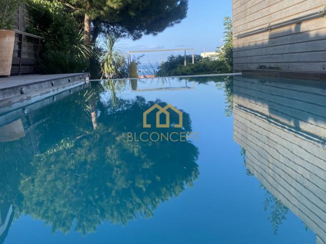ARCACHON VILLA VUE BASSIN