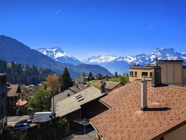 Arcade Commercial Showcase ideal im Herzen der Vaud Alpen gelegen