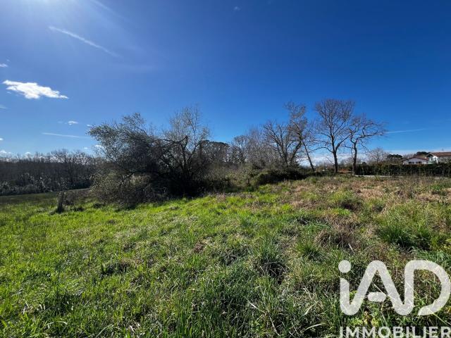Arcangues Vente Terrain 64