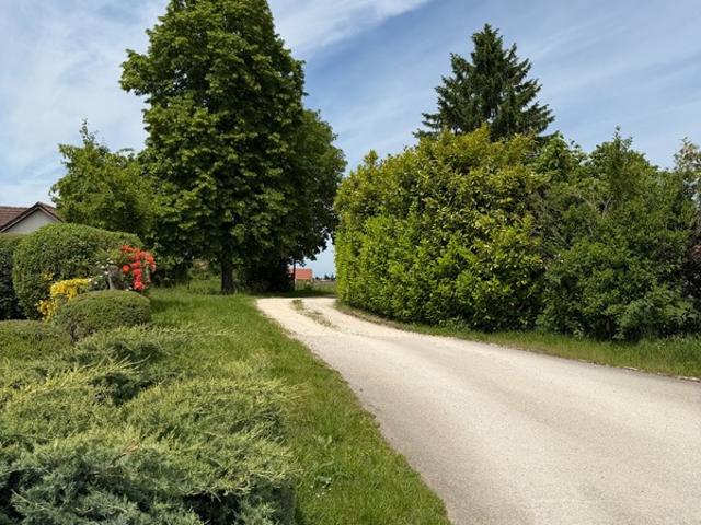 Arceau Vente Terrain 21
