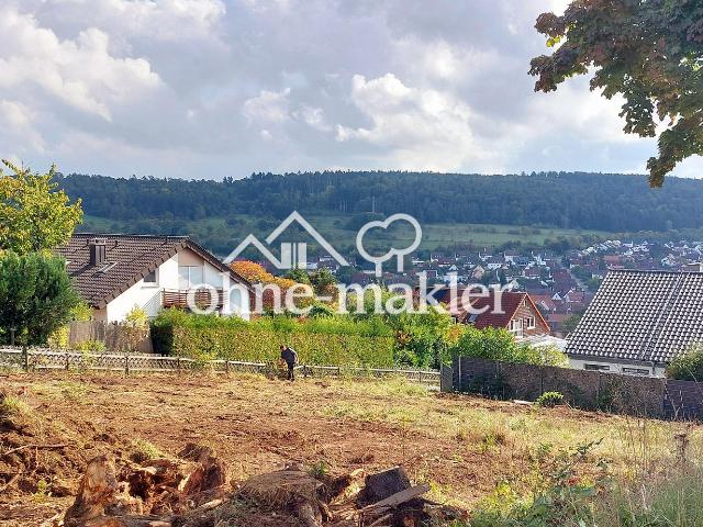 Architektenhaus in Südhanglage mit aussergewöhnlich großem Grundstück