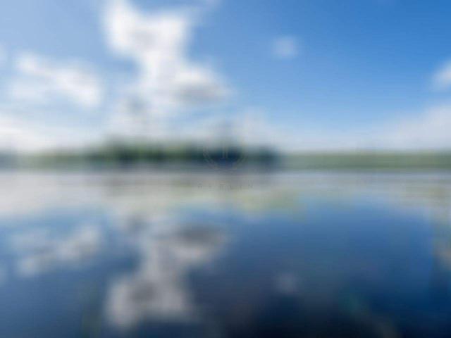 Architektonisches Highlight: modern, stylisch mit Wohnung auf großem Grundstück