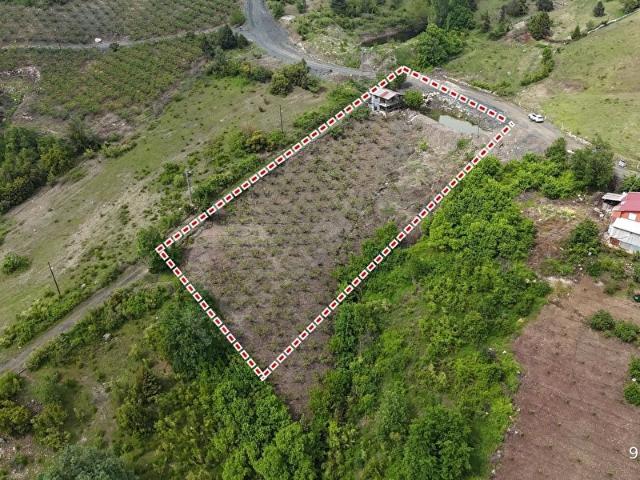 *ARCITY*_DEN GÜZELYAYLA'DA YOLA CEPHELİŞFTALİ BAHÇ. 3260M