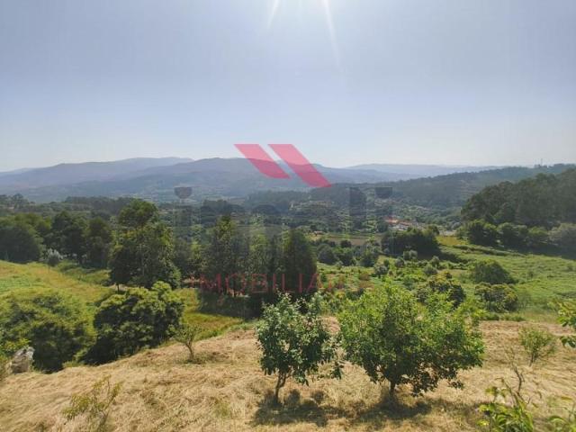 Arcos de Valdevez Arcos de Valdevez 91851832