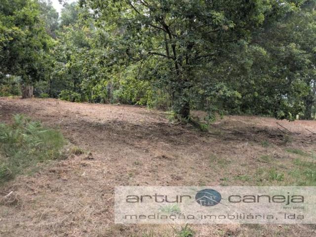 Arcos de Valdevez Arcos de Valdevez 91913650
