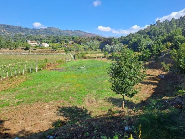 Arcos de Valdevez Arcos de Valdevez 95087828