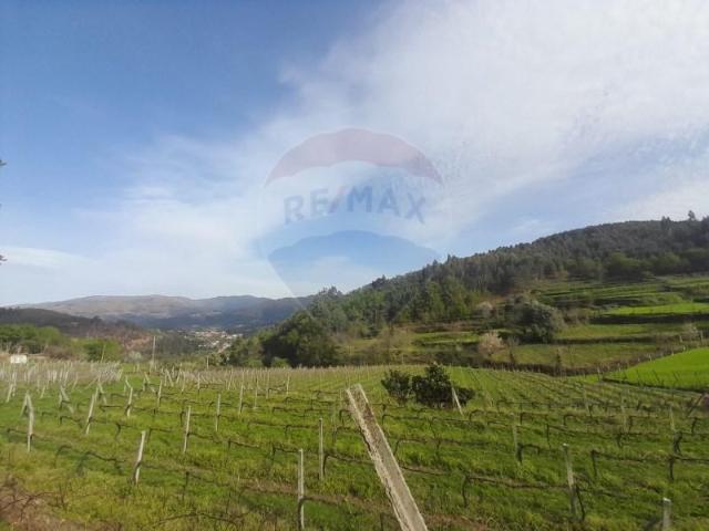 Arcos de Valdevez Arcos de Valdevez 97124144