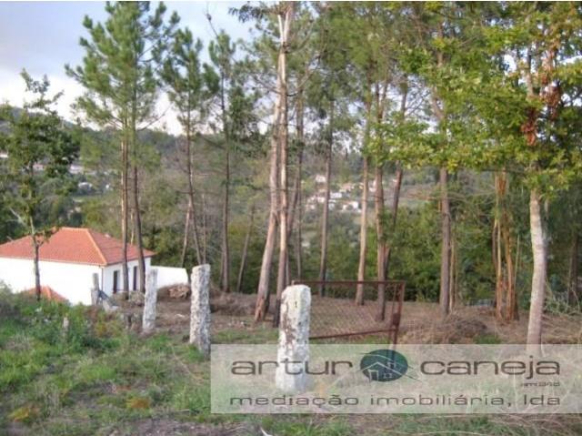 Arcos de Valdevez Arcos de Valdevez 97735744
