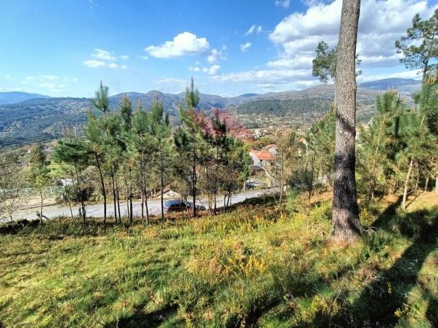 Arcos de Valdevez Arcos de Valdevez 98374658