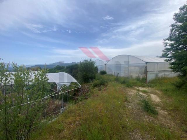 Arcos de Valdevez Arcos de Valdevez 103360768
