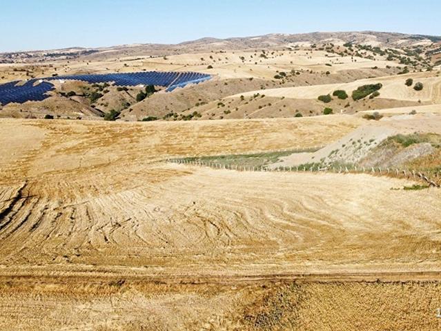 ÇARDAKBAGIN DA MÜKEMMEL KONUMDA HİSSE TAPULU TARLA