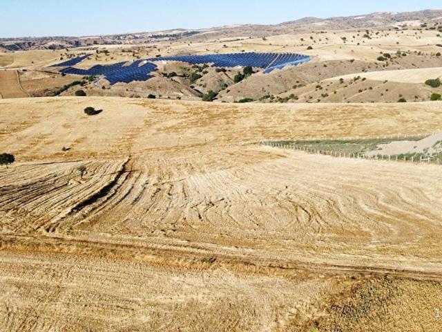 ÇARDAKBAGIN DA MÜKEMMEL KONUMDA HİSSE TAPULU TARLA