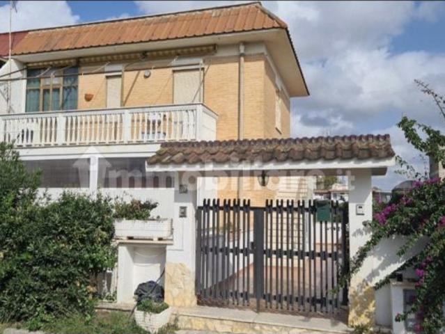 Ardea Tor San Lorenzo Lollia periodo estivo e successivo