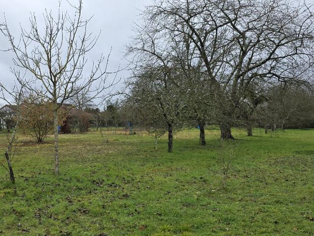 Ardentes Vente Terrain 36