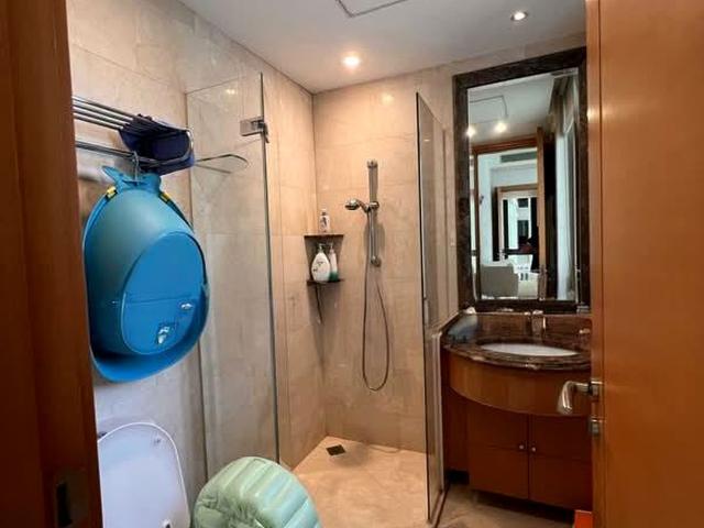 Ardmore Park D10, Condominium
