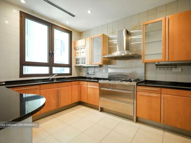 Ardmore Park D10, Condominium