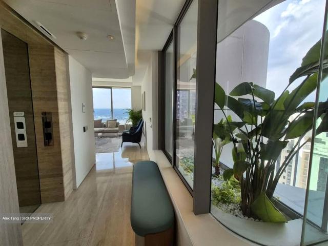 Ardmore Residence D10, Condominium